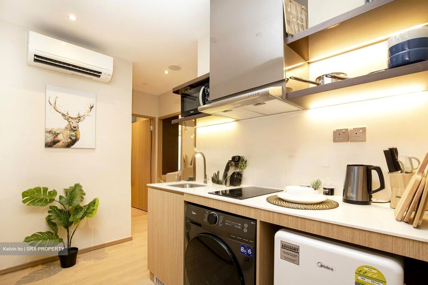 Mount Elizabeth Link (D9), Condominium #514674941